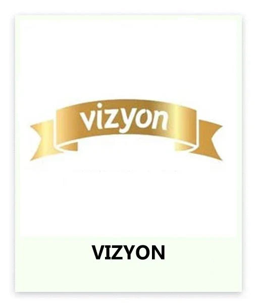 Vizyon