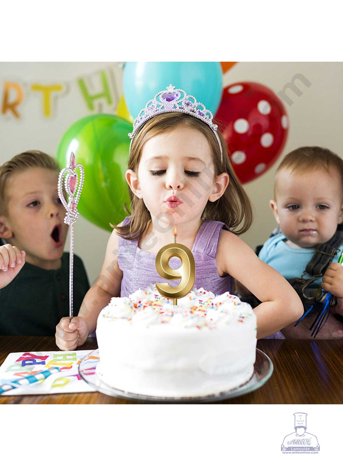 3D Birthday 9 Number Candle for Cake and Cupcake Decoration(1pc Pack) (MOQ 12 PCK) (M.5)