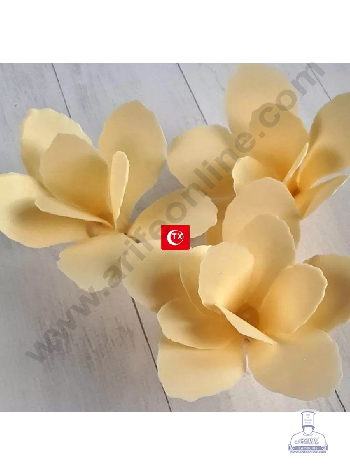 Cake Decor Flower Making Chocolate Stencil Mould - Gladiolus (SBTXF-005)