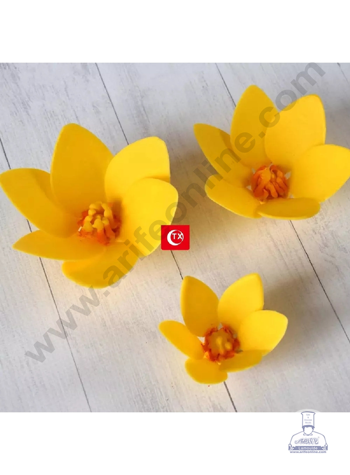 Cake Decor Flower Making Chocolate Stencil Mould - Mangolia (SBTXF-006)