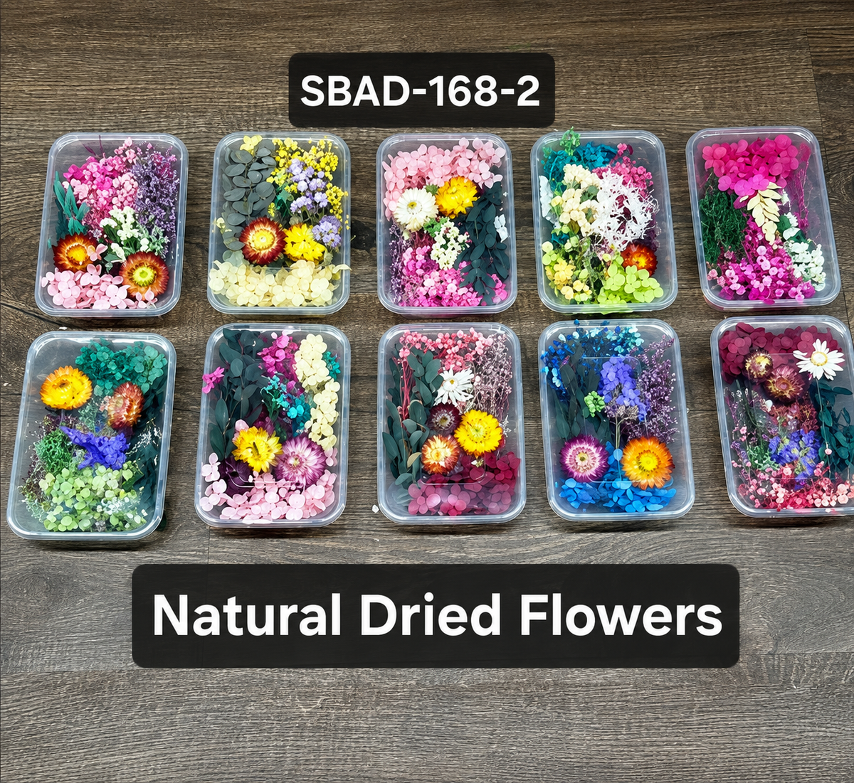 Natural Dried Flower  (SBAD-168-2) (ED/100)