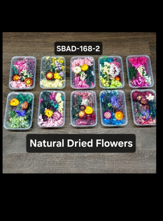 Natural Dried Flower  (SBAD-168-2) (ED/100)